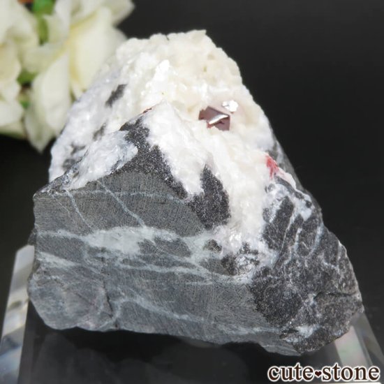  ʻ äʥ󥷥˥ʥСɥޥȤդ No.34μ̿0 cute stone