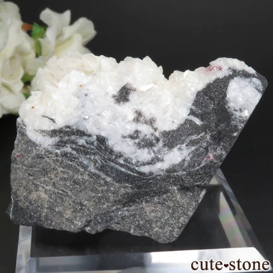  ʻ äʥ󥷥˥ʥСɥޥȤդ No.34μ̿1 cute stone