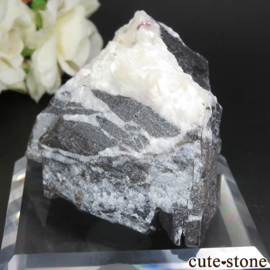  ʻ äʥ󥷥˥ʥСɥޥȤդ No.34μ̿2 cute stone