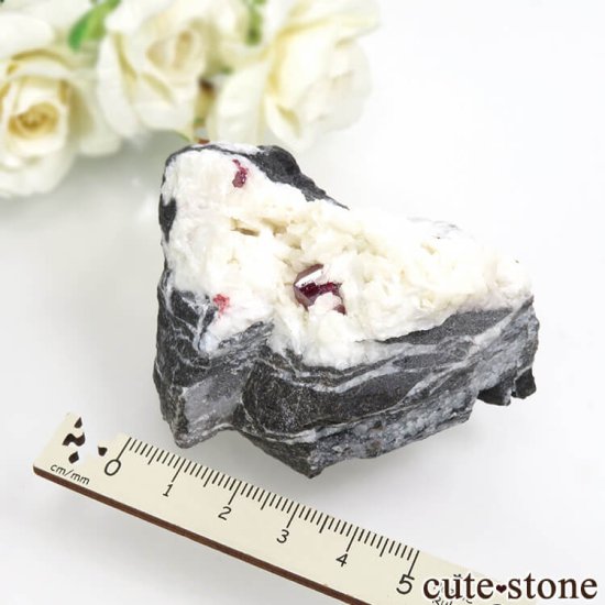  ʻ äʥ󥷥˥ʥСɥޥȤդ No.34μ̿5 cute stone