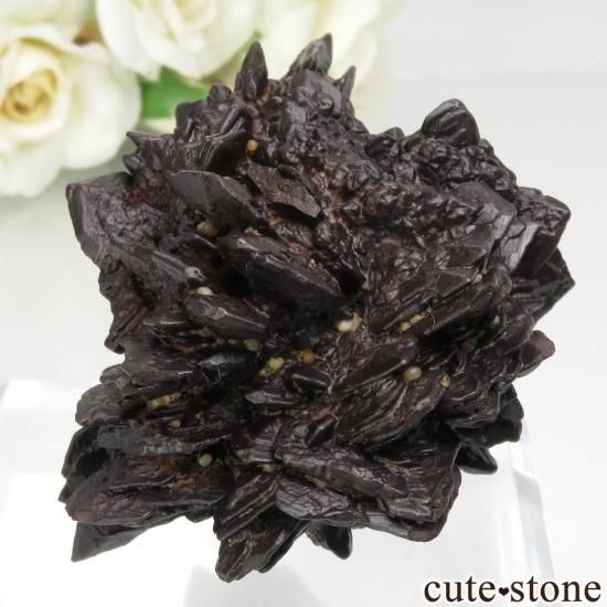  (ޡȲ˥ץȤ åȥȡ No.4μ̿0 cute stone