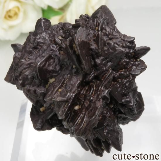  (ޡȲ˥ץȤ åȥȡ No.4μ̿2 cute stone