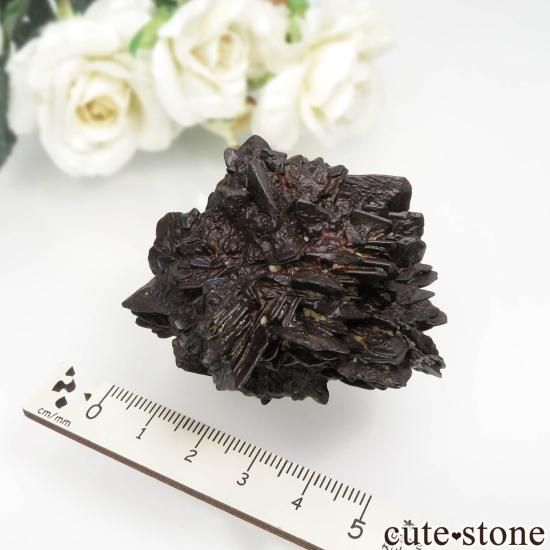  (ޡȲ˥ץȤ åȥȡ No.4μ̿3 cute stone