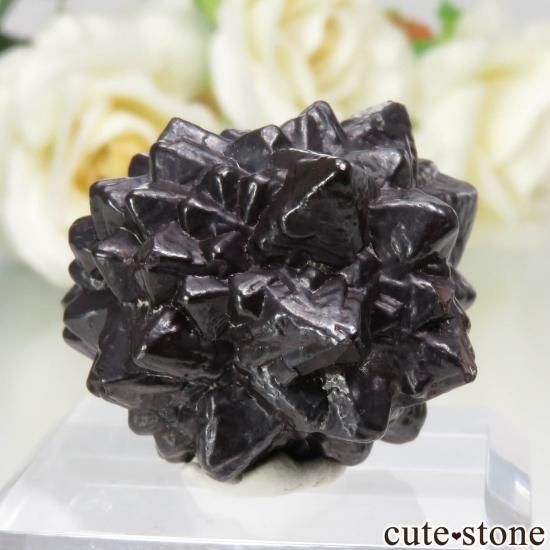  (ޡȲ˥ץȤ åȥȡ No.5μ̿1 cute stone