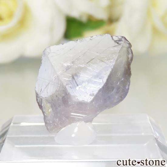 󥶥˥ Merelani Hills ޥͥʥȤθ No.2