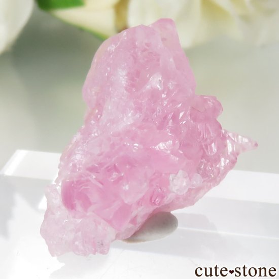 ֥饸 ߥʥ饤 Pitorra claim Ĥη뾽 No.7μ̿0 cute stone