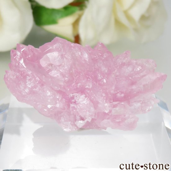֥饸 ߥʥ饤 Pitorra claim Ĥη뾽 No.7μ̿1 cute stone