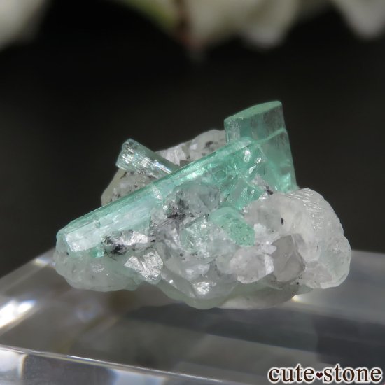 ӥ Pena Blanca Mine ɡ륵Ȥθ No.2μ̿0 cute stone