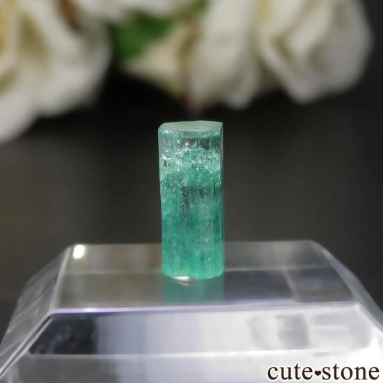 コロンビア Coscuez Mine産 エメラルドの原石 No.2 - cute stone - コロンビア Coscuez Mine産 エメラルドの原石 No.2 - cute stone -