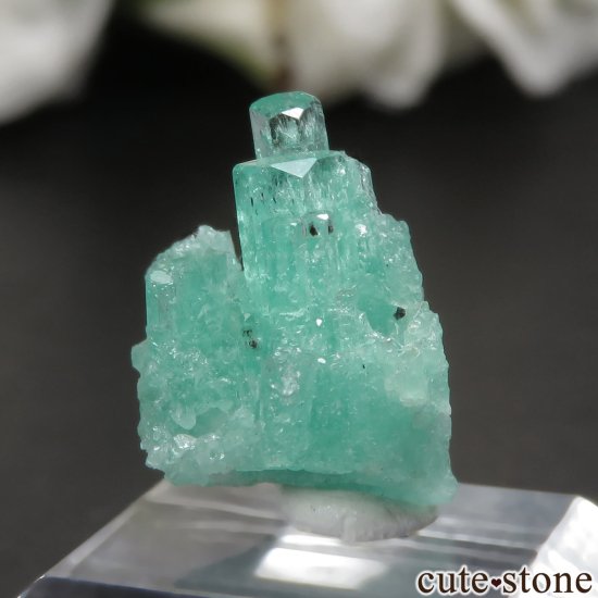 コロンビア Coscuez Mine産 エメラルドの原石 No.3の写真0 cute stone