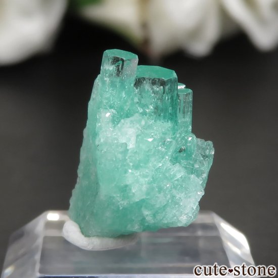 ӥ Coscuez Mine ɤθ No.3μ̿1 cute stone