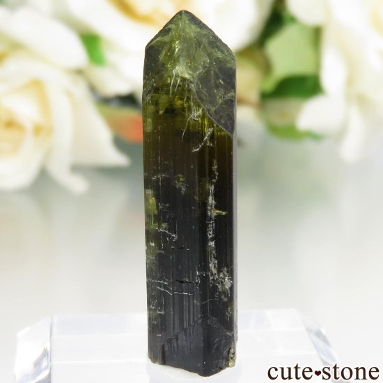 󥶥˥ Dodoma ꡼֥饦ȥޥθ No.1μ̿0 cute stone