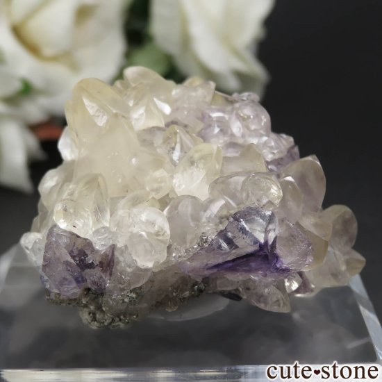 ꥫ ϥ Stoneco Auglaize Quarry ե饤&륵Ȥθ No.1μ̿0 cute stone