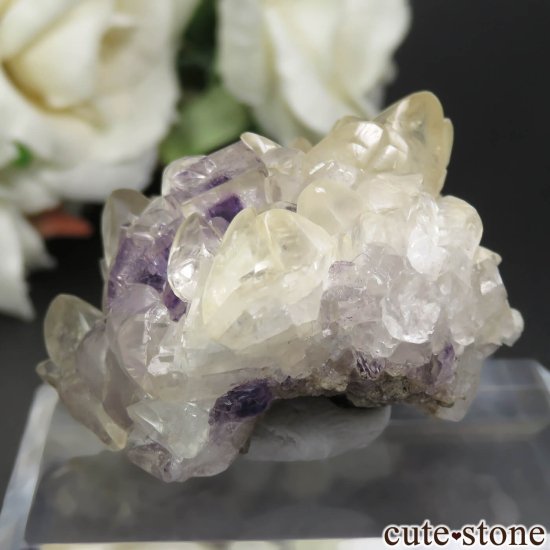 ꥫ ϥ Stoneco Auglaize Quarry ե饤&륵Ȥθ No.1μ̿2 cute stone
