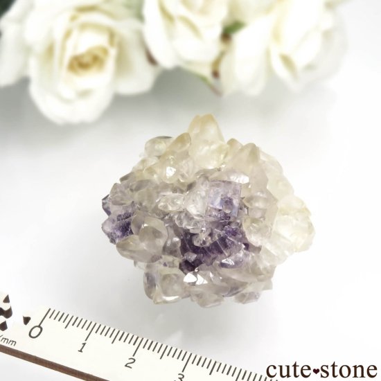 ꥫ ϥ Stoneco Auglaize Quarry ե饤&륵Ȥθ No.1μ̿5 cute stone