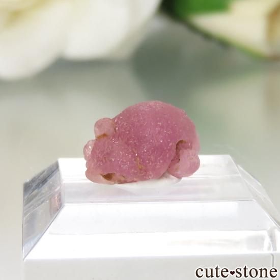 ߥޡ Momeik ԥ󥯥ȥޥʥޥå롼ˤθ No.2