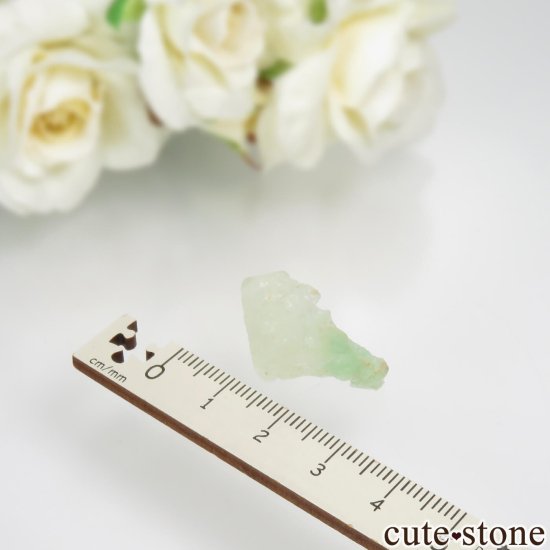 ʥߥӥ ߥ꡼ե饤ȡʥץե饤ȡˤθ No.1μ̿4 cute stone