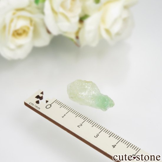 ʥߥӥ ߥ꡼ե饤ȡʥץե饤ȡˤθ No.2μ̿4 cute stone