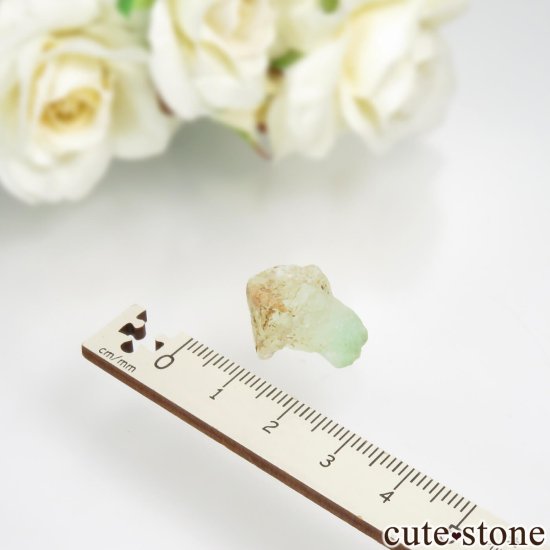 ʥߥӥ ߥ꡼ե饤ȡʥץե饤ȡˤθ No.3μ̿4 cute stone