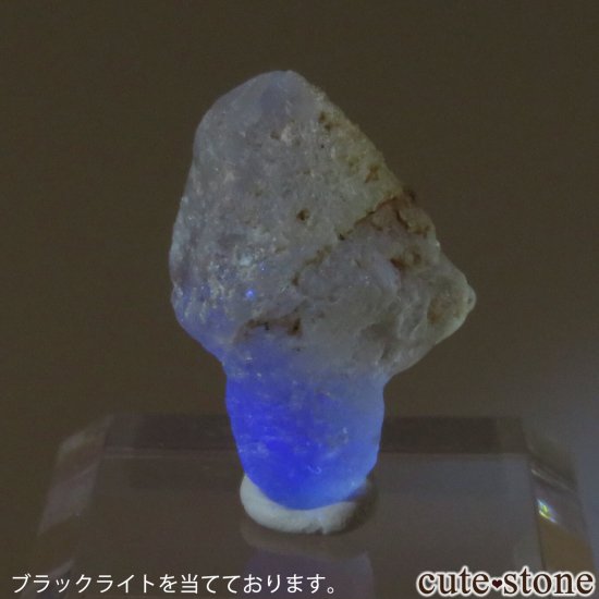 ʥߥӥ ߥ꡼ե饤ȡʥץե饤ȡˤθ No.4μ̿3 cute stone