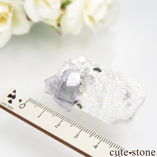 䥪󥷥 ֥롼ե饤ȡĤθ No.69μ̿3 cute stone