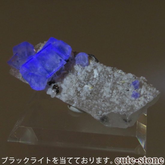 䥪󥷥 ֥롼ե饤ȡĤθ No.69μ̿4 cute stone