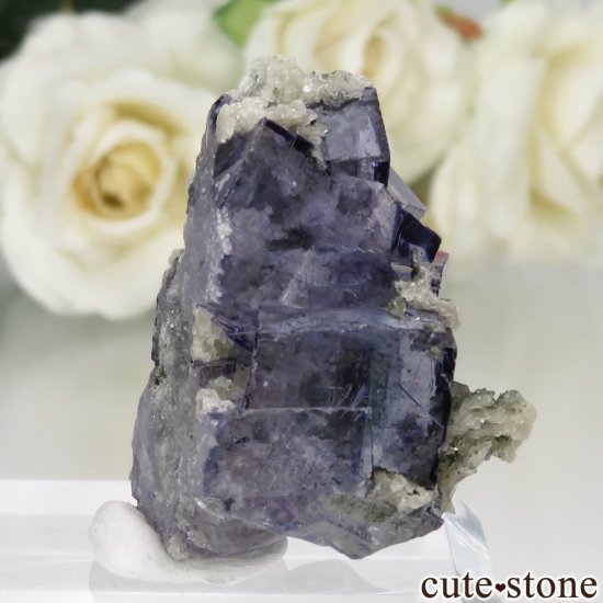 䥪󥷥 ˾뾽ե饤ȡ⥹ХȤθ No.71μ̿1 cute stone