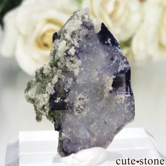 䥪󥷥 ˾뾽ե饤ȡ⥹ХȤθ No.71μ̿2 cute stone