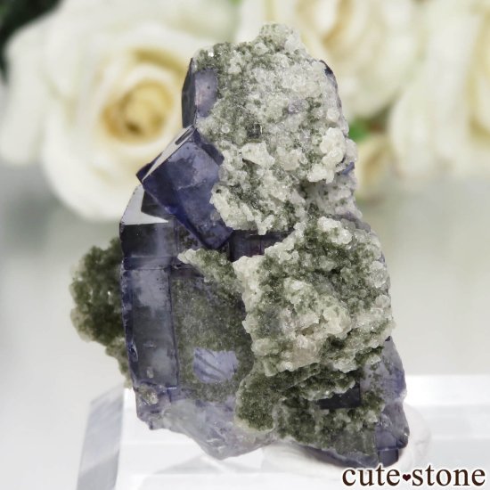 䥪󥷥 ˾뾽ե饤ȡ⥹ХȤθ No.71μ̿3 cute stone