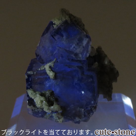 䥪󥷥 ˾뾽ե饤ȡ⥹ХȤθ No.71μ̿5 cute stone