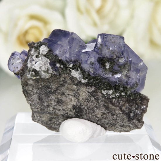 䥪󥷥 ѡץ֥롼ե饤Ȥθ No.72μ̿1 cute stone