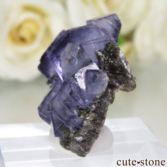 䥪󥷥 ѡץ֥롼ե饤Ȥθ No.72μ̿2 cute stone