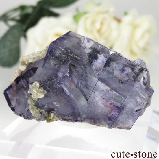 䥪󥷥 ˾뾽ե饤ȡ⥹ХȤθ No.73μ̿0 cute stone