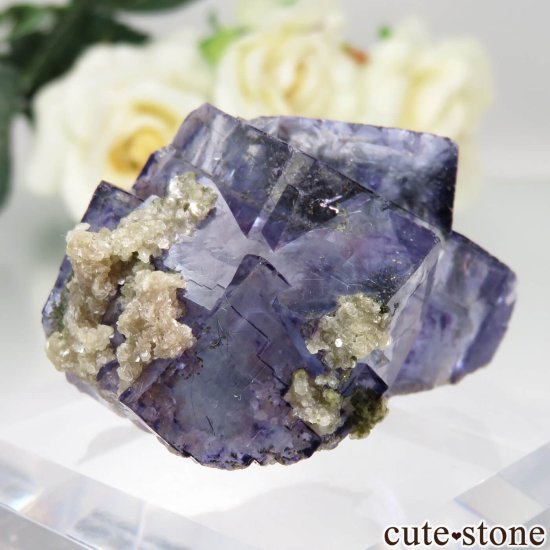 䥪󥷥 ˾뾽ե饤ȡ⥹ХȤθ No.73μ̿1 cute stone