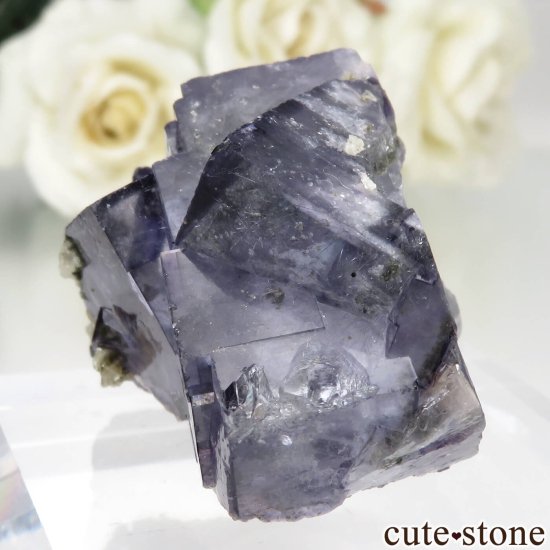 䥪󥷥 ˾뾽ե饤ȡ⥹ХȤθ No.73μ̿3 cute stone