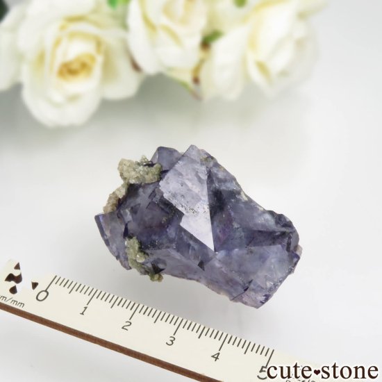 䥪󥷥 ˾뾽ե饤ȡ⥹ХȤθ No.73μ̿5 cute stone
