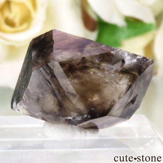 ȥꥢ Mooralla(顦) ⡼ No.31μ̿0 cute stone