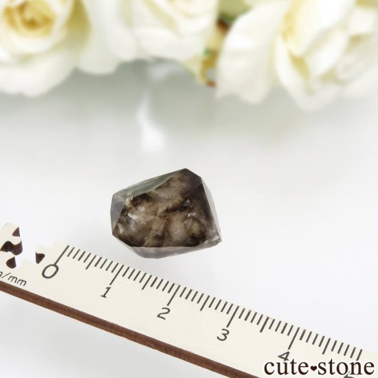 ȥꥢ Mooralla(顦) ⡼ No.31μ̿1 cute stone