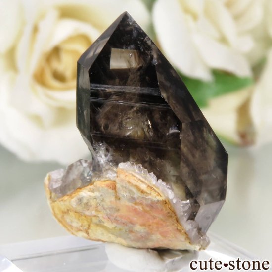 ȥꥢ Mooralla(顦) ⡼ No.34μ̿0 cute stone