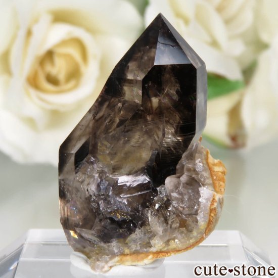 ȥꥢ Mooralla(顦) ⡼ No.34μ̿1 cute stone