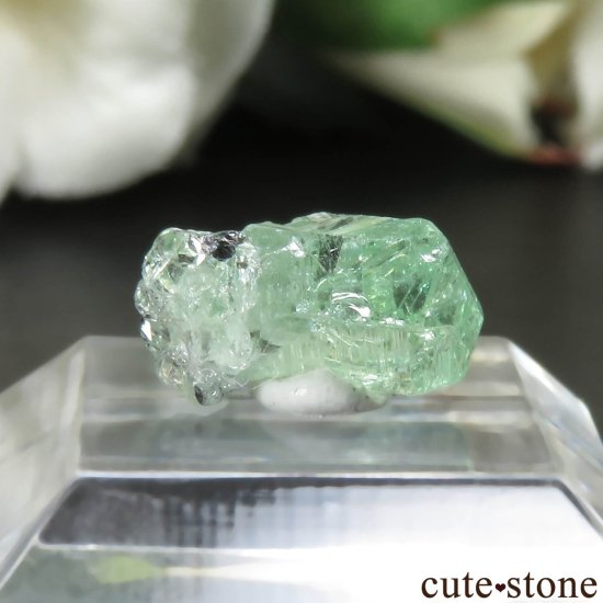 󥶥˥ ĥܥ饤ȡʥå顼ͥåȡˤθ No.20μ̿1 cute stone