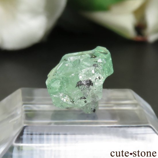 󥶥˥ ĥܥ饤ȡʥå顼ͥåȡˤθ No.20μ̿2 cute stone