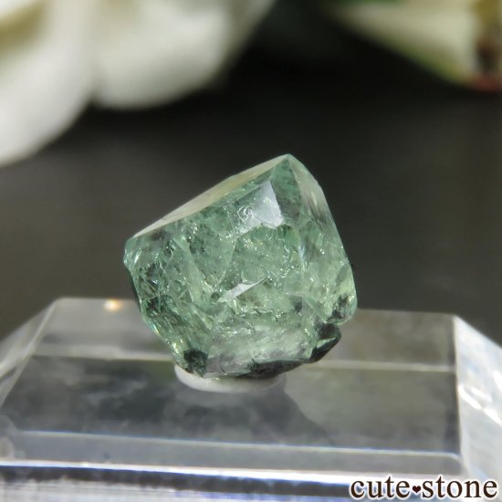 󥶥˥ ĥܥ饤ȡʥå顼ͥåȡˤθ No.21μ̿2 cute stone