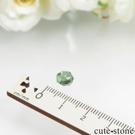 【タンザニア/メレラニ産】ツァボライト(グリーングロッシュラーガーネット) ツァボライト(宝石名グリーン グロッシュラー・ガーネット