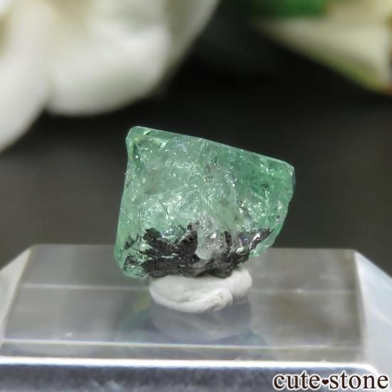 󥶥˥ ĥܥ饤ȡʥå顼ͥåȡˤθ No.23μ̿1 cute stone