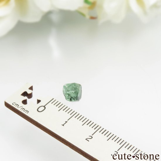 󥶥˥ ĥܥ饤ȡʥå顼ͥåȡˤθ No.23μ̿3 cute stone