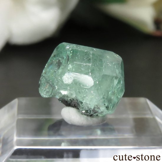󥶥˥ ĥܥ饤ȡʥå顼ͥåȡˤθ No.25μ̿0 cute stone