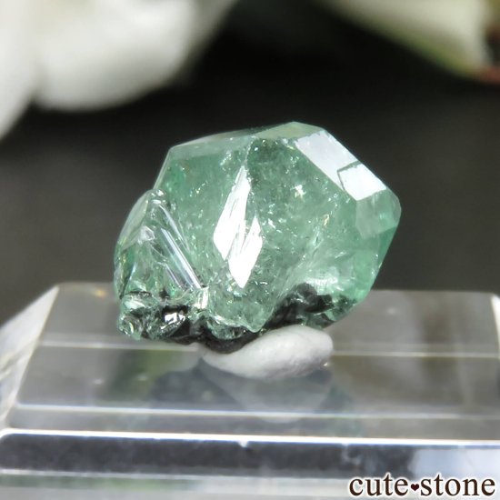 󥶥˥ ĥܥ饤ȡʥå顼ͥåȡˤθ No.25μ̿1 cute stone