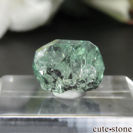 󥶥˥ ĥܥ饤ȡʥå顼ͥåȡˤθ No.26μ̿1 cute stone