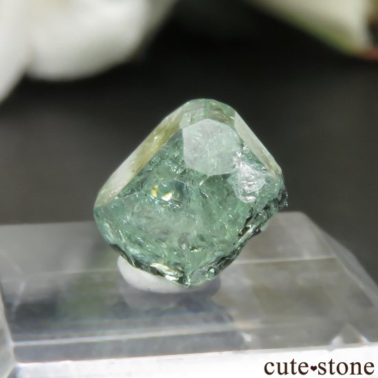 󥶥˥ ĥܥ饤ȡʥå顼ͥåȡˤθ No.26μ̿2 cute stone